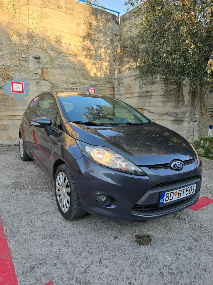Ford Fiesta 2010