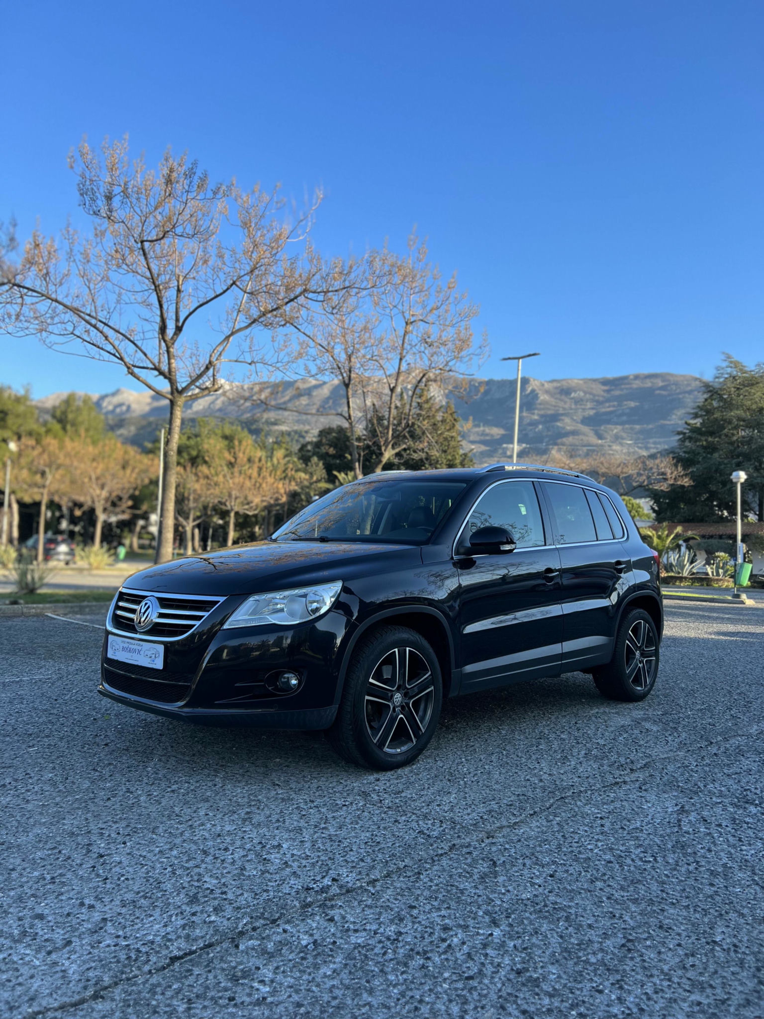 Volkswagen Tiguan 2008
