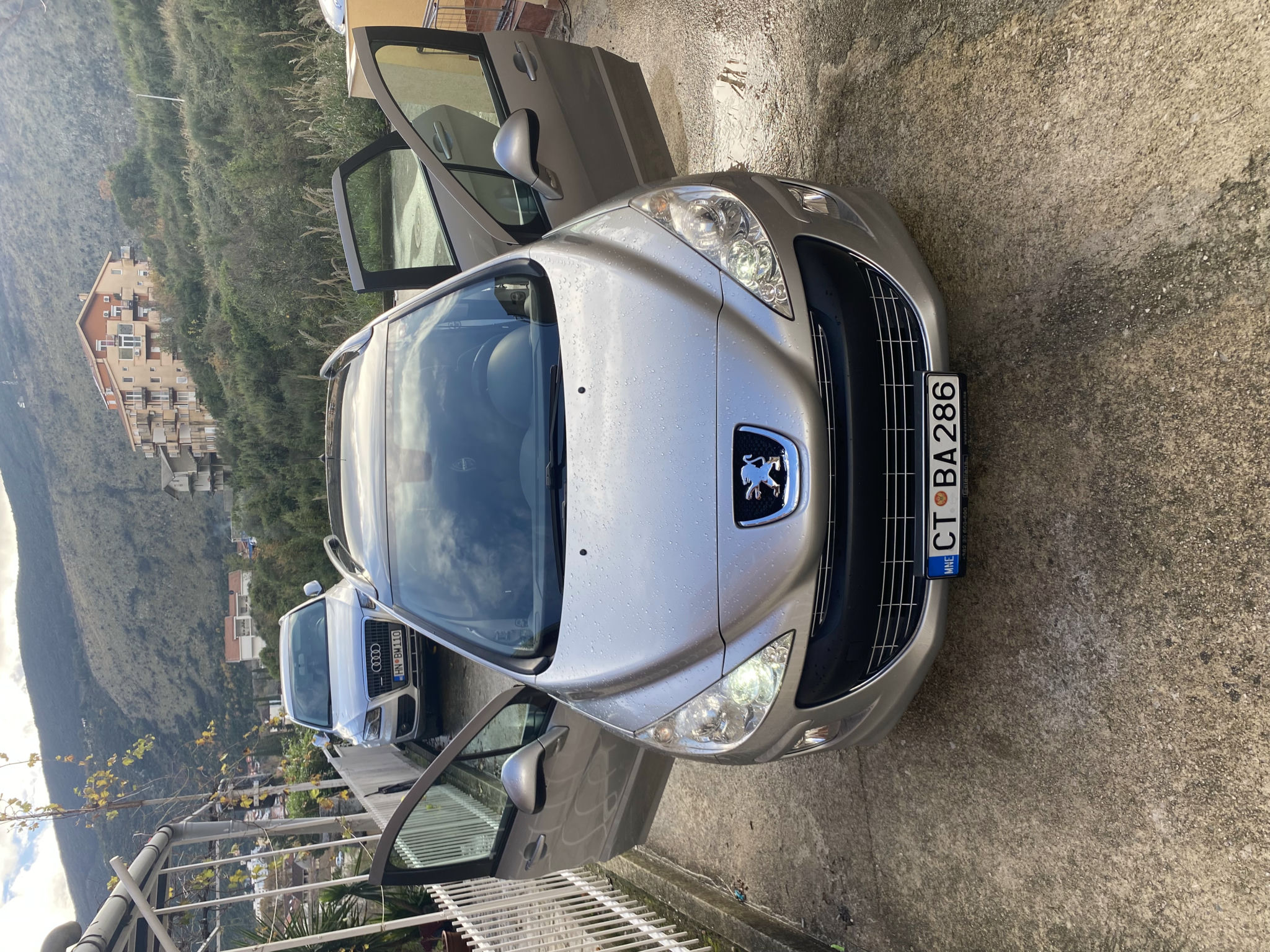 Peugeot 308 2009