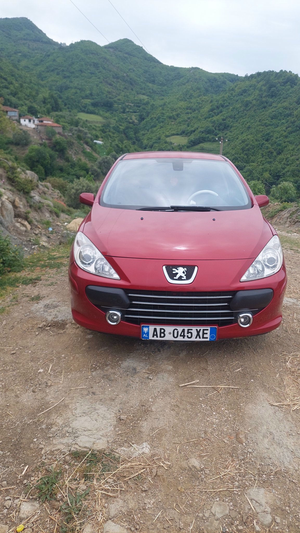 PEUGEOT 307