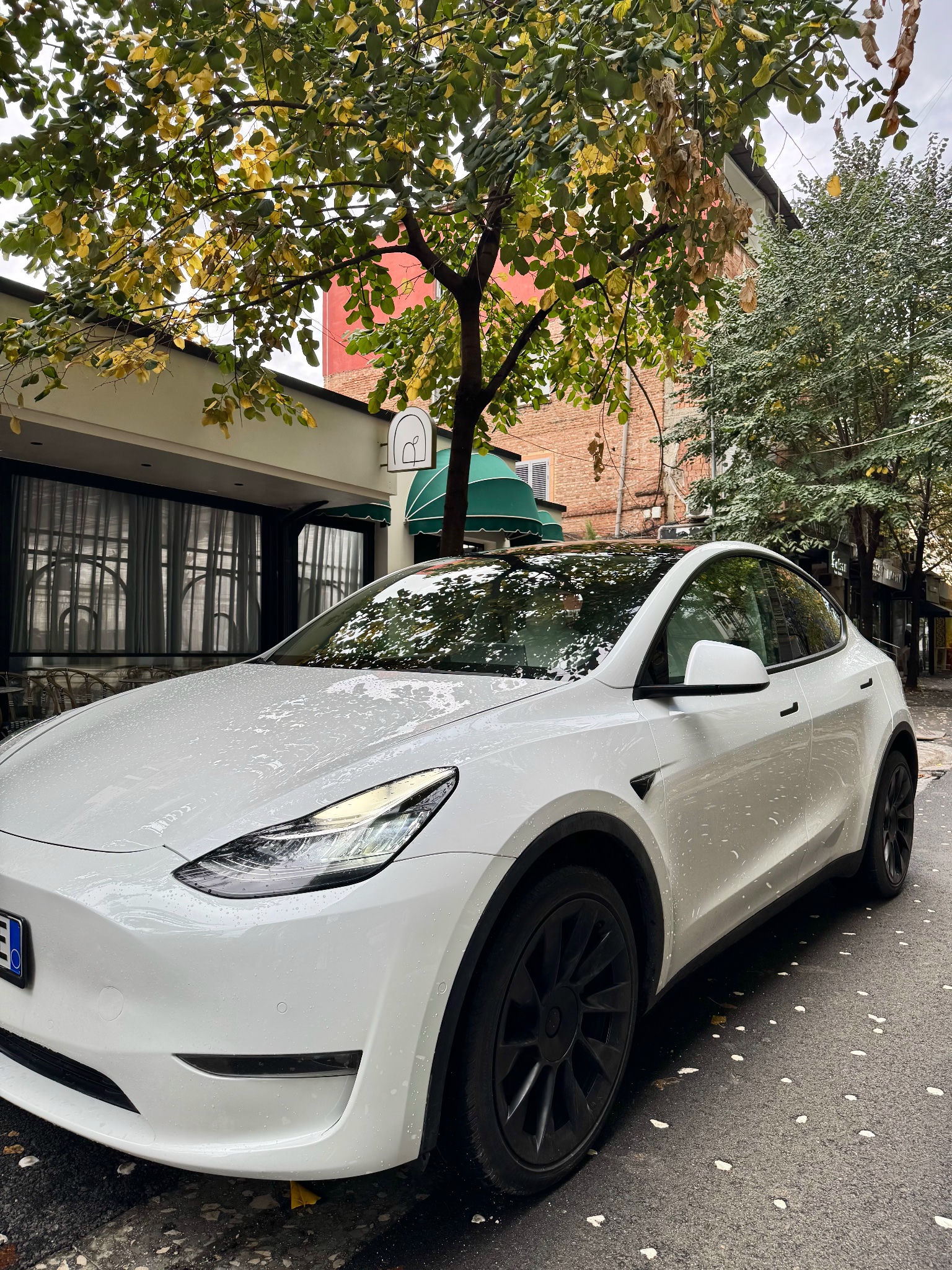 TESLA Model Y 2023 thumbnail 2