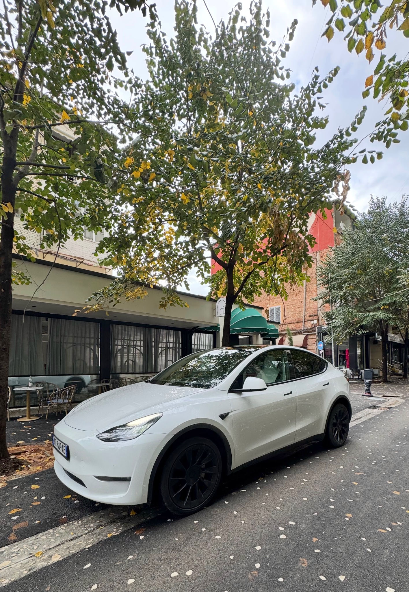 TESLA Model Y 2023 thumbnail 4