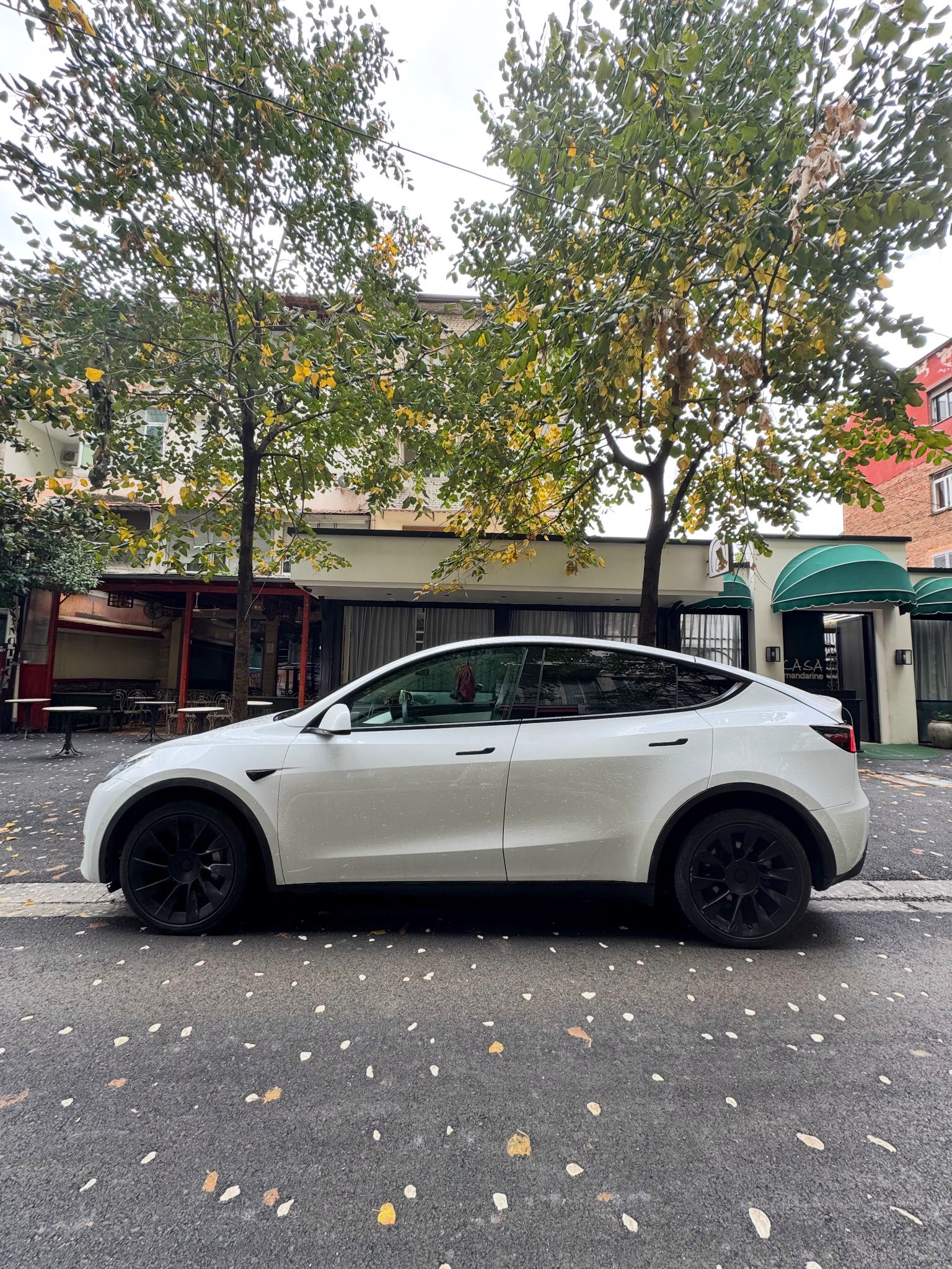 TESLA Model Y 2023 thumbnail 5