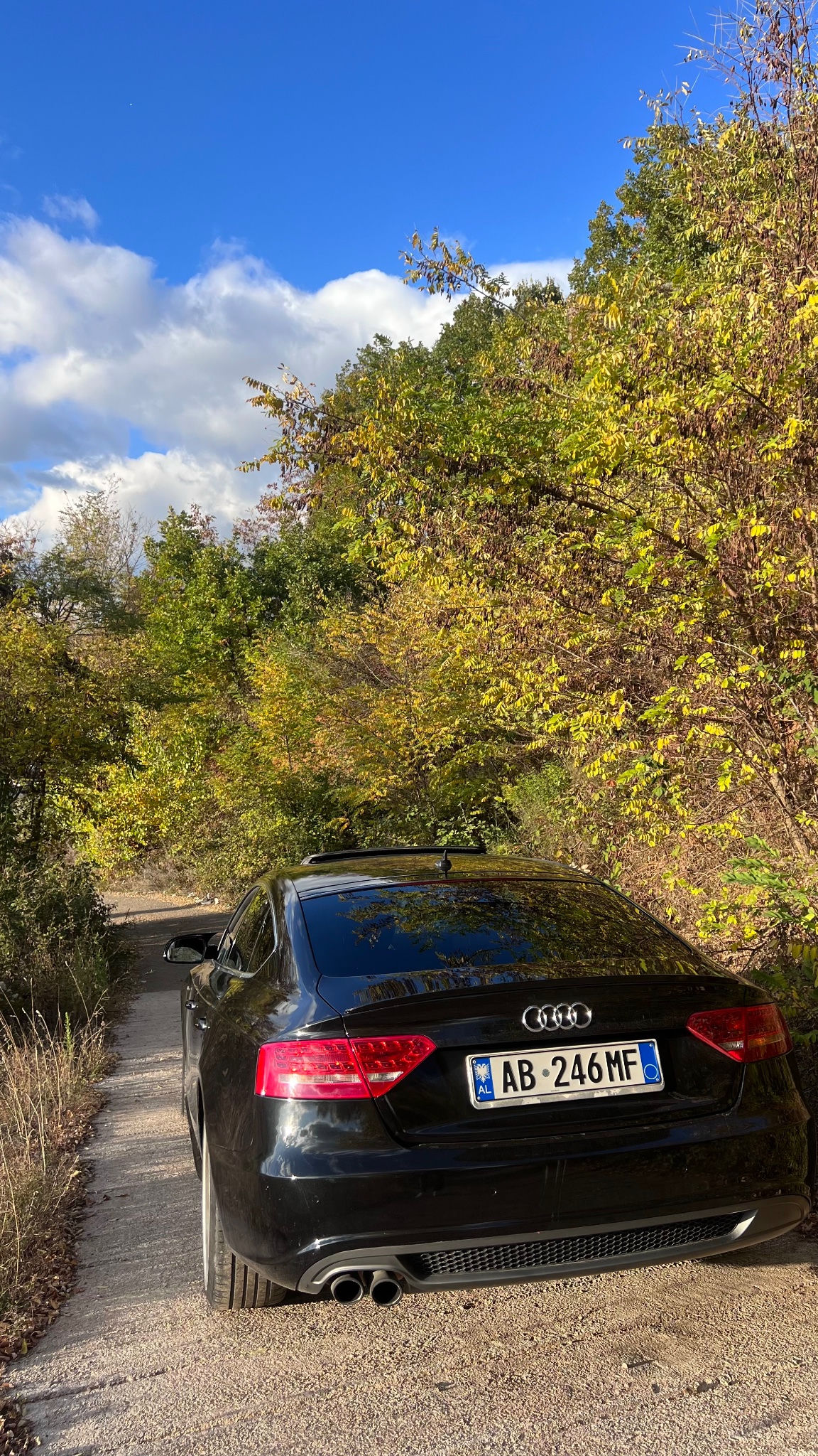 AUDI A5 2012 thumbnail 6